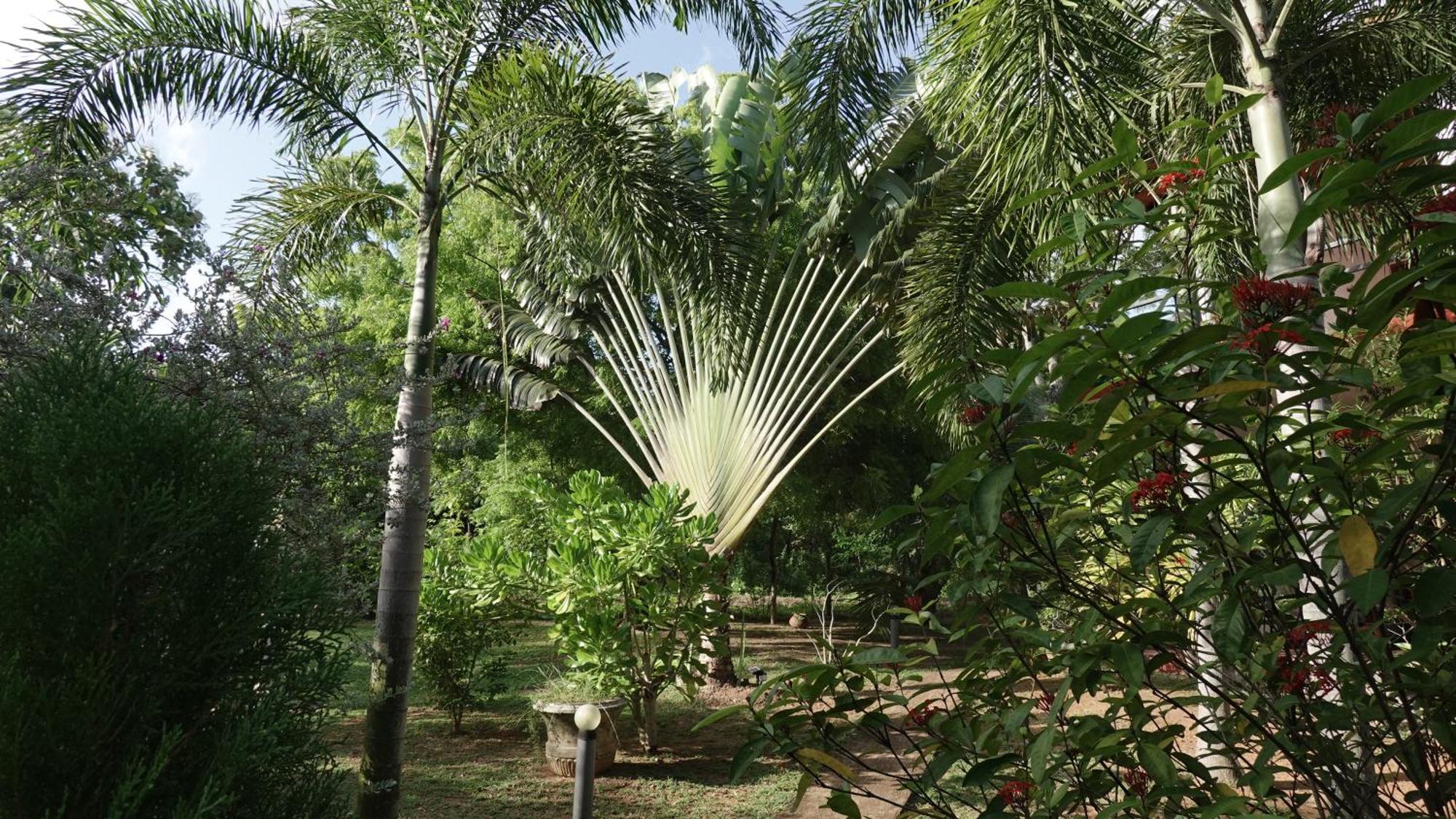 Salt Lake Cabanas & Restaurant Tangalle Zewnętrze zdjęcie