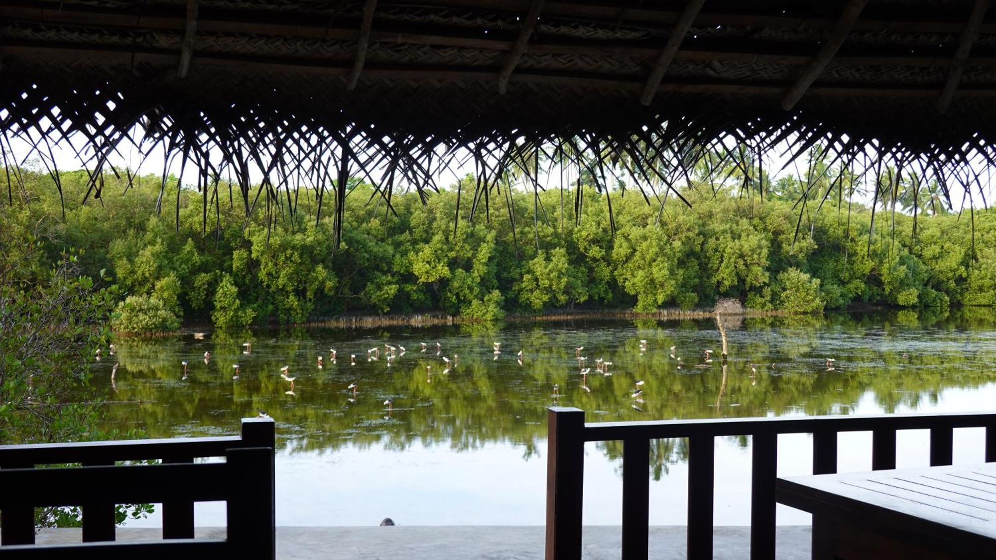 Salt Lake Cabanas & Restaurant Tangalle Zewnętrze zdjęcie
