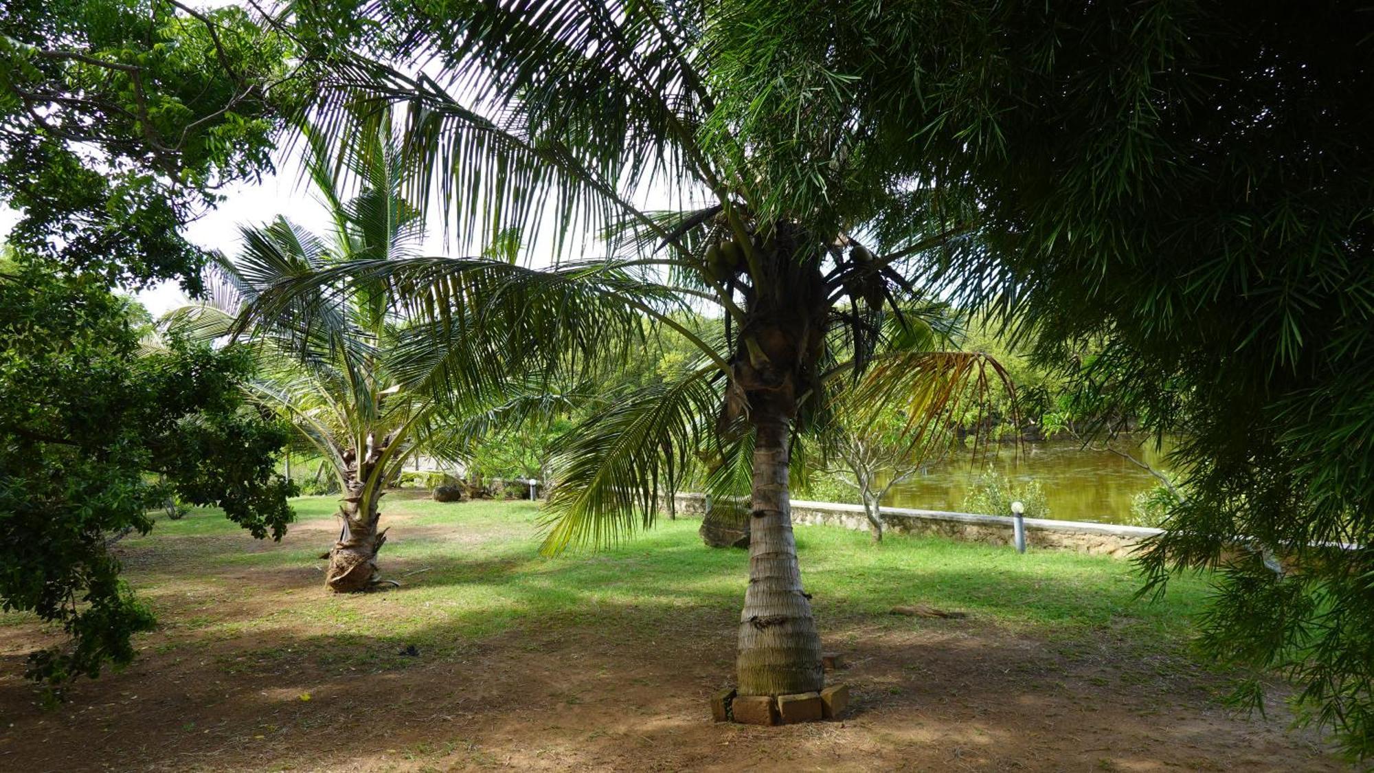 Salt Lake Cabanas & Restaurant Tangalle Zewnętrze zdjęcie